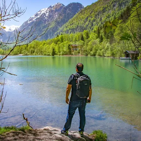 Alpine B6 Apartament Maishofen