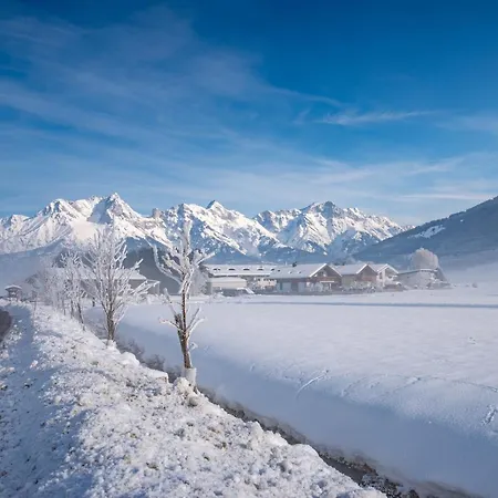 Apartament Alpine B6 *